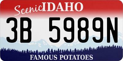ID license plate 3B5989N