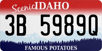 ID license plate 3B5989Q