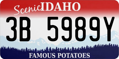 ID license plate 3B5989Y