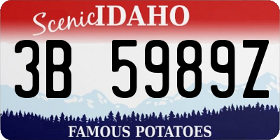 ID license plate 3B5989Z