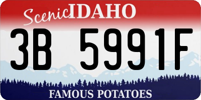 ID license plate 3B5991F