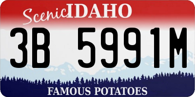 ID license plate 3B5991M