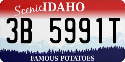 ID license plate 3B5991T