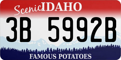 ID license plate 3B5992B