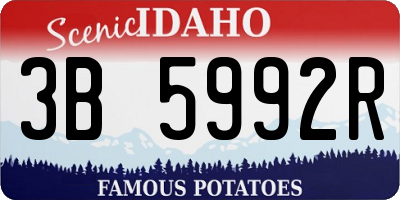 ID license plate 3B5992R