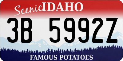 ID license plate 3B5992Z