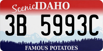 ID license plate 3B5993C