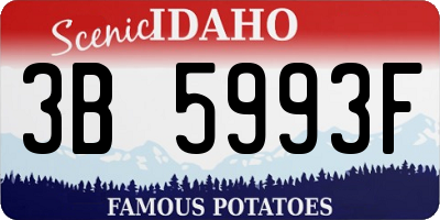 ID license plate 3B5993F