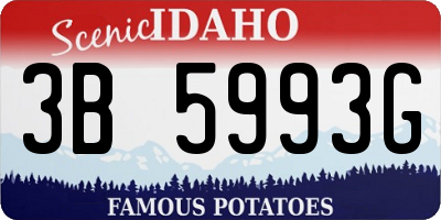ID license plate 3B5993G