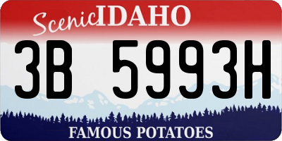 ID license plate 3B5993H