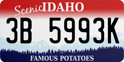 ID license plate 3B5993K
