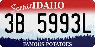 ID license plate 3B5993L