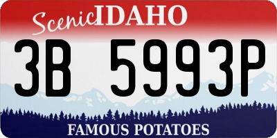 ID license plate 3B5993P