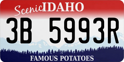 ID license plate 3B5993R