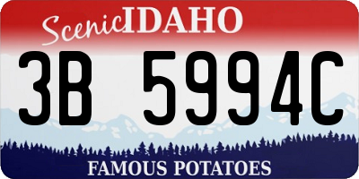 ID license plate 3B5994C