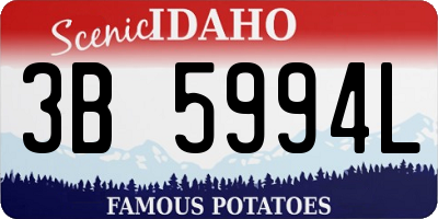 ID license plate 3B5994L