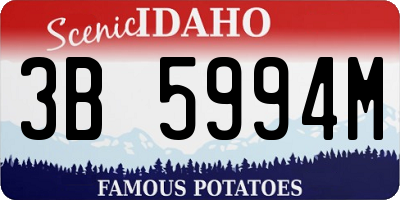 ID license plate 3B5994M