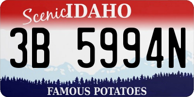 ID license plate 3B5994N