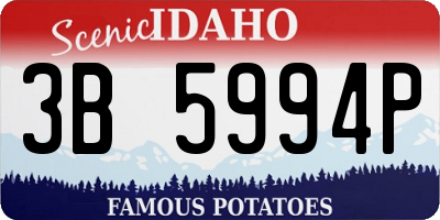 ID license plate 3B5994P