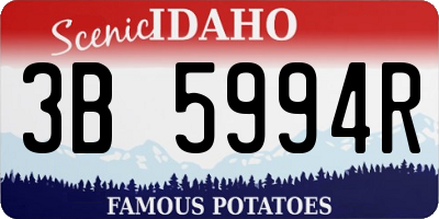 ID license plate 3B5994R