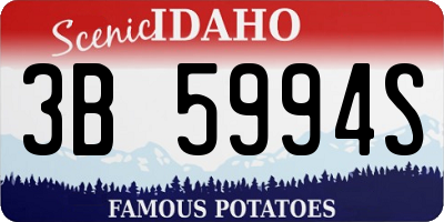 ID license plate 3B5994S