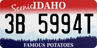 ID license plate 3B5994T