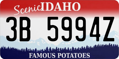 ID license plate 3B5994Z