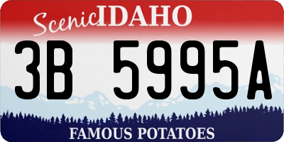 ID license plate 3B5995A