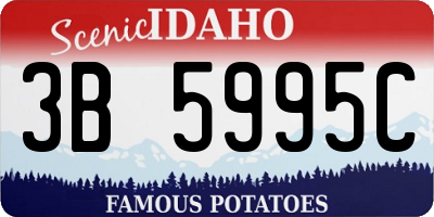 ID license plate 3B5995C