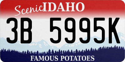 ID license plate 3B5995K