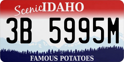 ID license plate 3B5995M