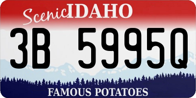 ID license plate 3B5995Q