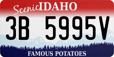 ID license plate 3B5995V