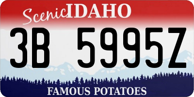 ID license plate 3B5995Z