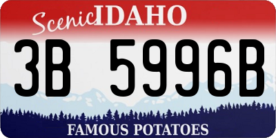 ID license plate 3B5996B