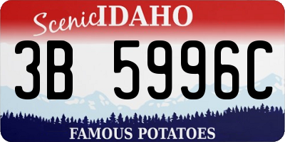 ID license plate 3B5996C