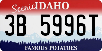 ID license plate 3B5996T