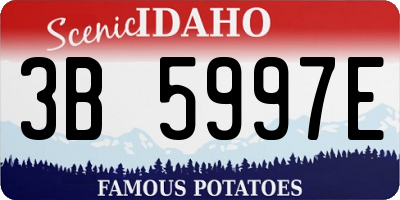 ID license plate 3B5997E