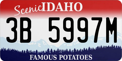 ID license plate 3B5997M