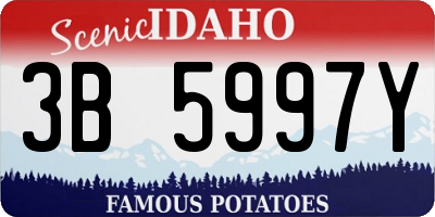 ID license plate 3B5997Y