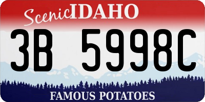 ID license plate 3B5998C