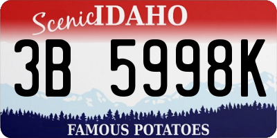 ID license plate 3B5998K