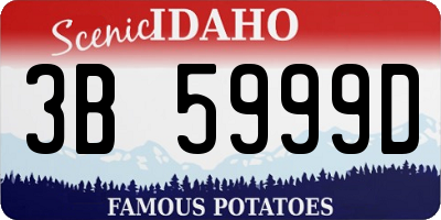 ID license plate 3B5999D