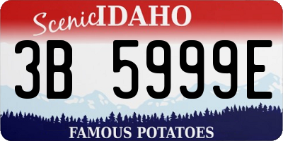ID license plate 3B5999E