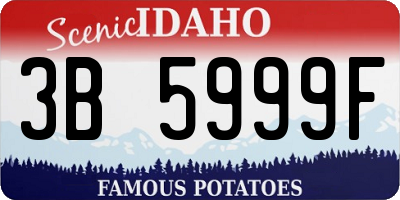 ID license plate 3B5999F