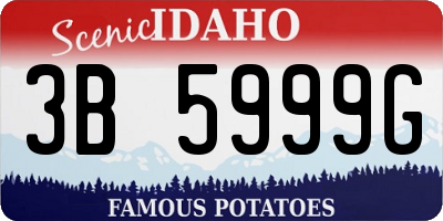 ID license plate 3B5999G