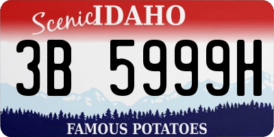 ID license plate 3B5999H
