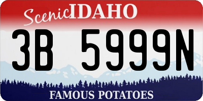 ID license plate 3B5999N
