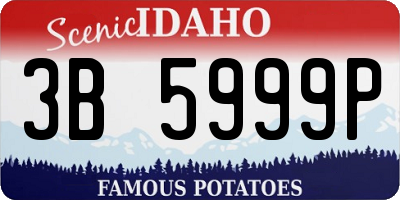 ID license plate 3B5999P