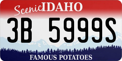 ID license plate 3B5999S